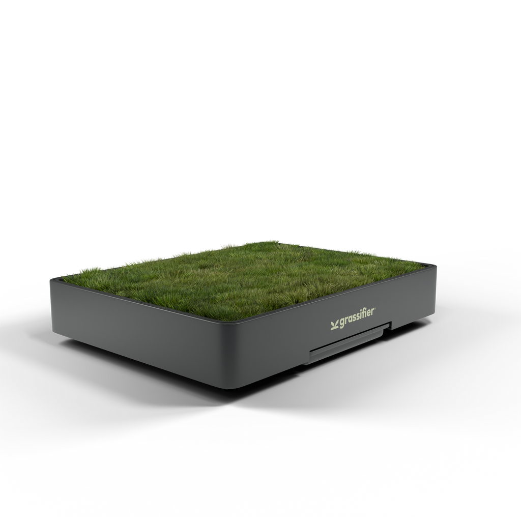 Grassifier real grass dog potty - image 1