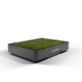 Grassifier real grass dog potty - image 1