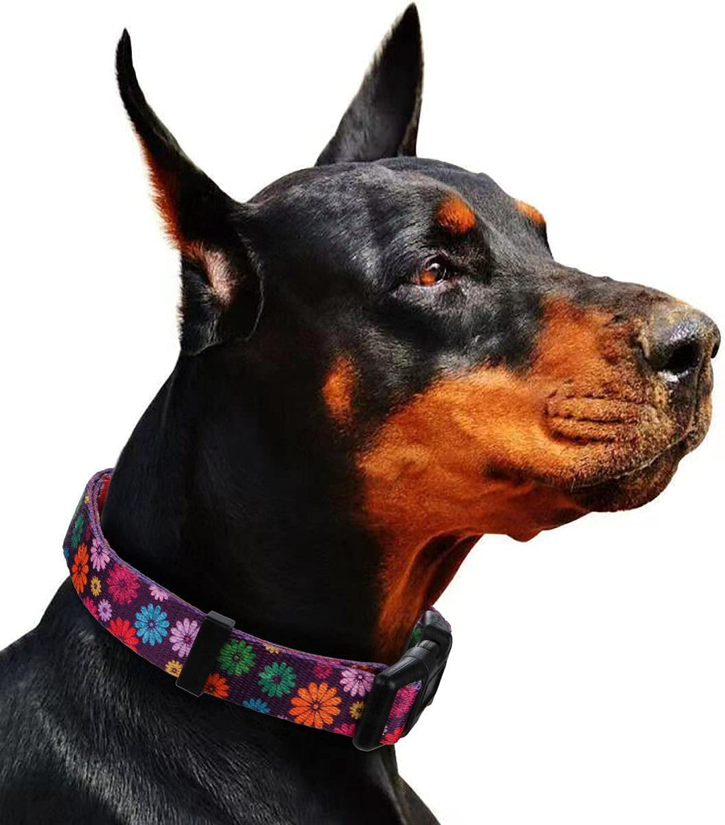 Large Dark Purple Dog Collar for Girls with Fall Daisy Pattern and Colorful Floral Print