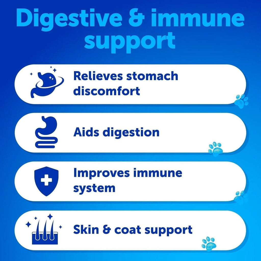 Probiotics for Dogs Support Gut Health Itchy Skin Allergies Immunity Yeast