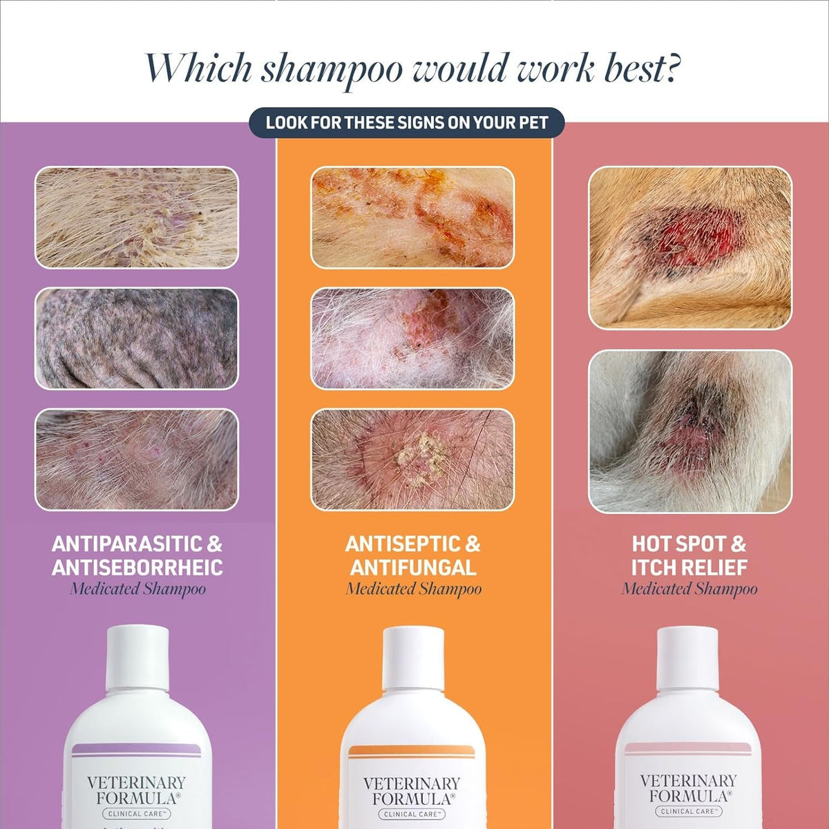 Veterinary Formula Clinical Care Pet Shampoo for Dogs & Cats - 16 Fl Oz, Paraben & Soap-Free