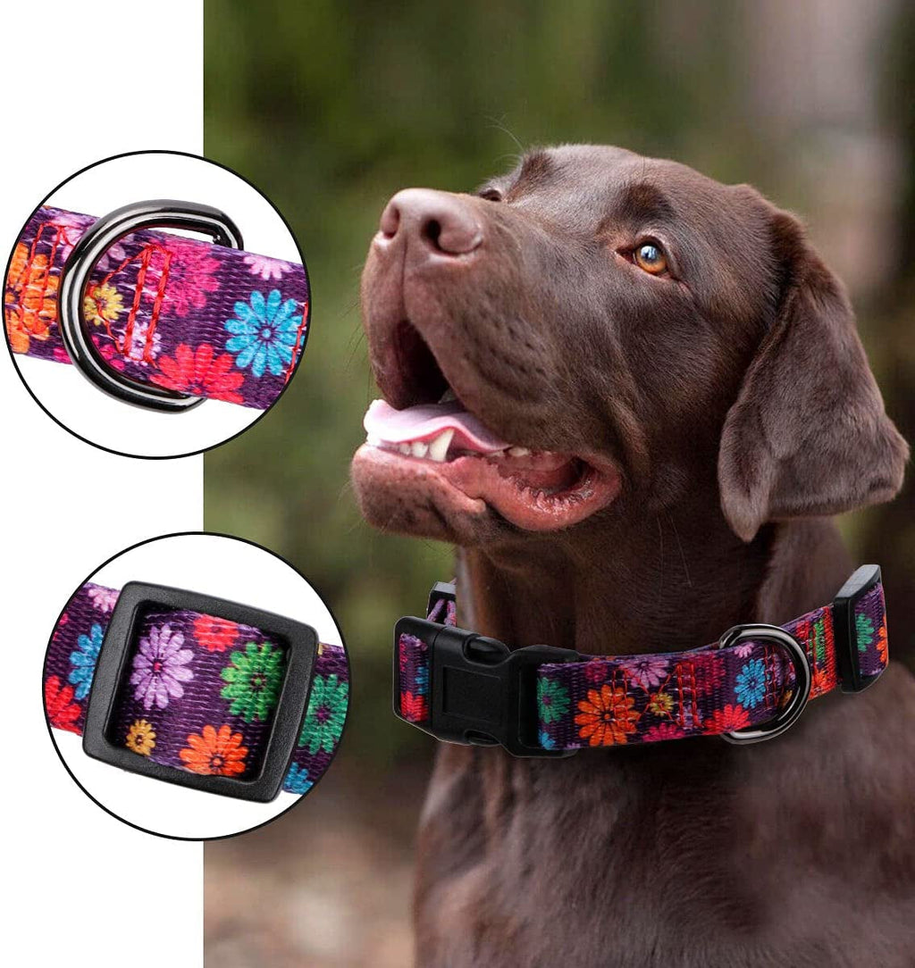 Large Dark Purple Dog Collar for Girls with Fall Daisy Pattern and Colorful Floral Print