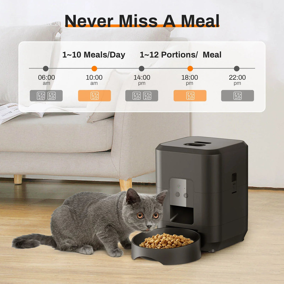 HEYBO Smart Pet Feeder | Automatic, 2L Capacity for Cats & Dogs