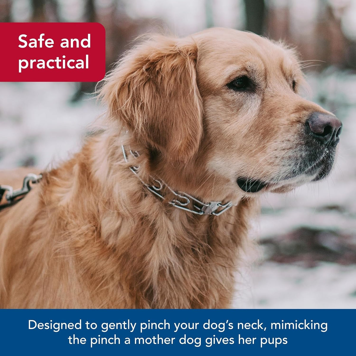 Ultra-Plus Prong Dog Training Collar, 4 Mm X 21" Neck Size, 4 Mm X 25" Chain Length, Steel Chrome Plated Dog Prong Collar, Pinch Collar for Dogs, Dog Correction Collar