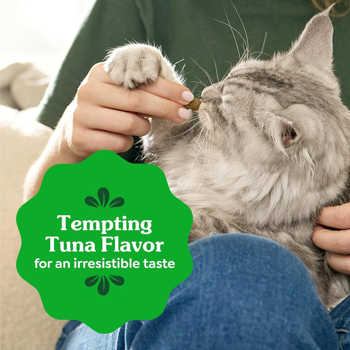Cat Treats, Veterinarian-Recommended Adult Natural Dental Cat Treats, Tempting Tuna Flavor, 9.75 Oz. Tub