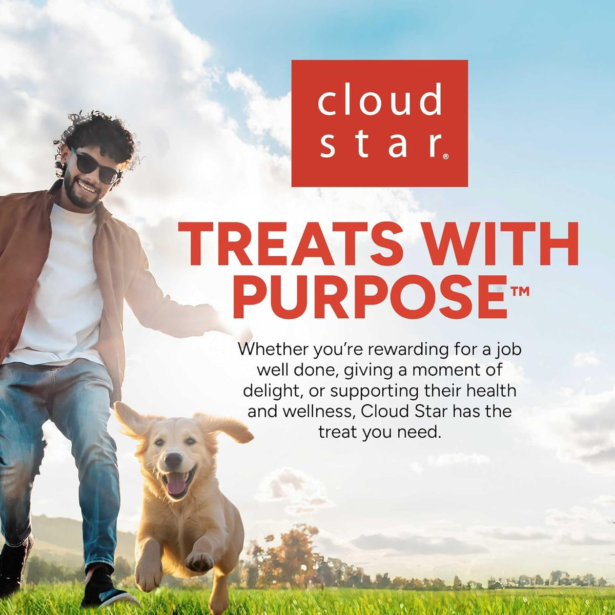 10 Oz. Pouch Training Reward Mini Soft & Chewy, Chicken Flavor, with 500 Treats per Bag, the Choice of Top Trainers