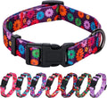 Large Dark Purple Dog Collar for Girls with Fall Daisy Pattern and Colorful Floral Print