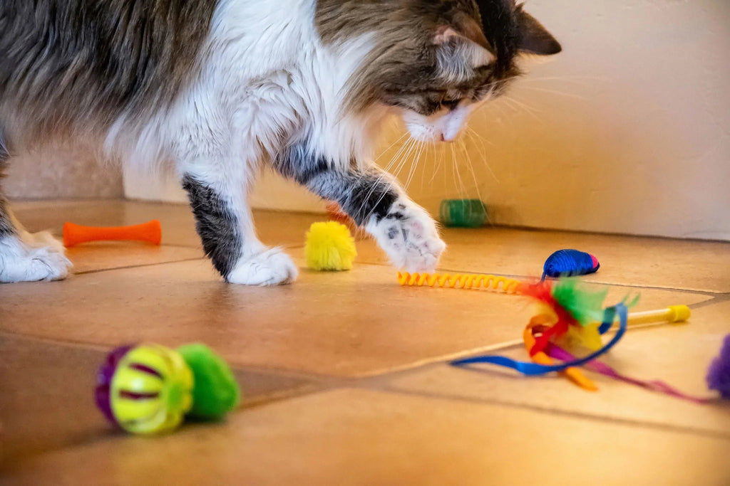 Ultimate 24-Piece Cat Toy Collection for Unmatched Feline Entertainment!