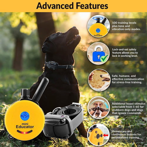 1/2 Mile Remote Dog Training System plus E-Collar 101 Training DVD, Safe Humane Stimulation, Pavlovian Tone, Waterproof, Odorproof Biothane Collar, Night Light, Rechargeable, 1 Dog, Yellow