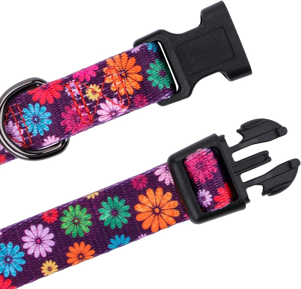 Large Dark Purple Dog Collar for Girls with Fall Daisy Pattern and Colorful Floral Print