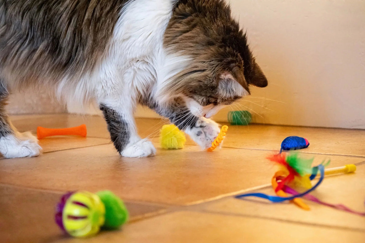 Ultimate 24-Piece Cat Toy Collection for Unmatched Feline Entertainment!