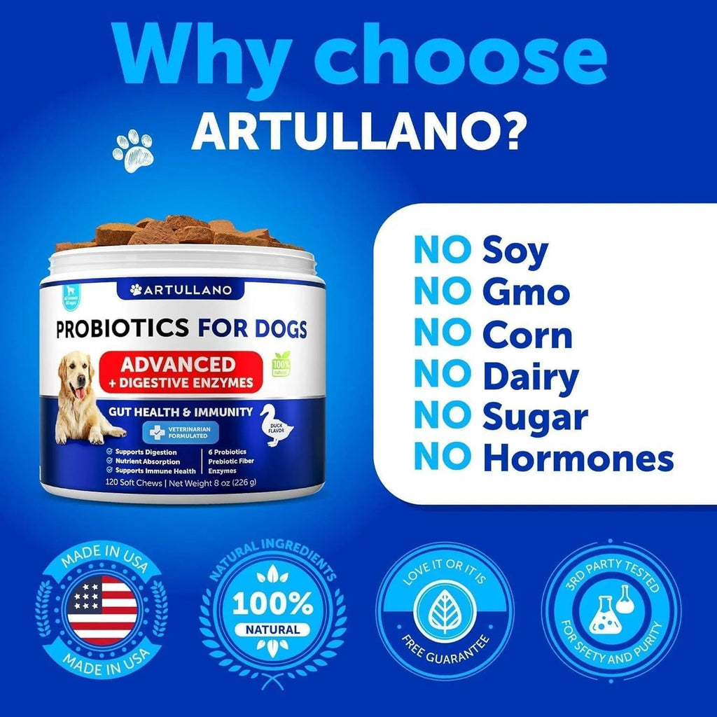 Probiotics for Dogs Support Gut Health Itchy Skin Allergies Immunity Yeast