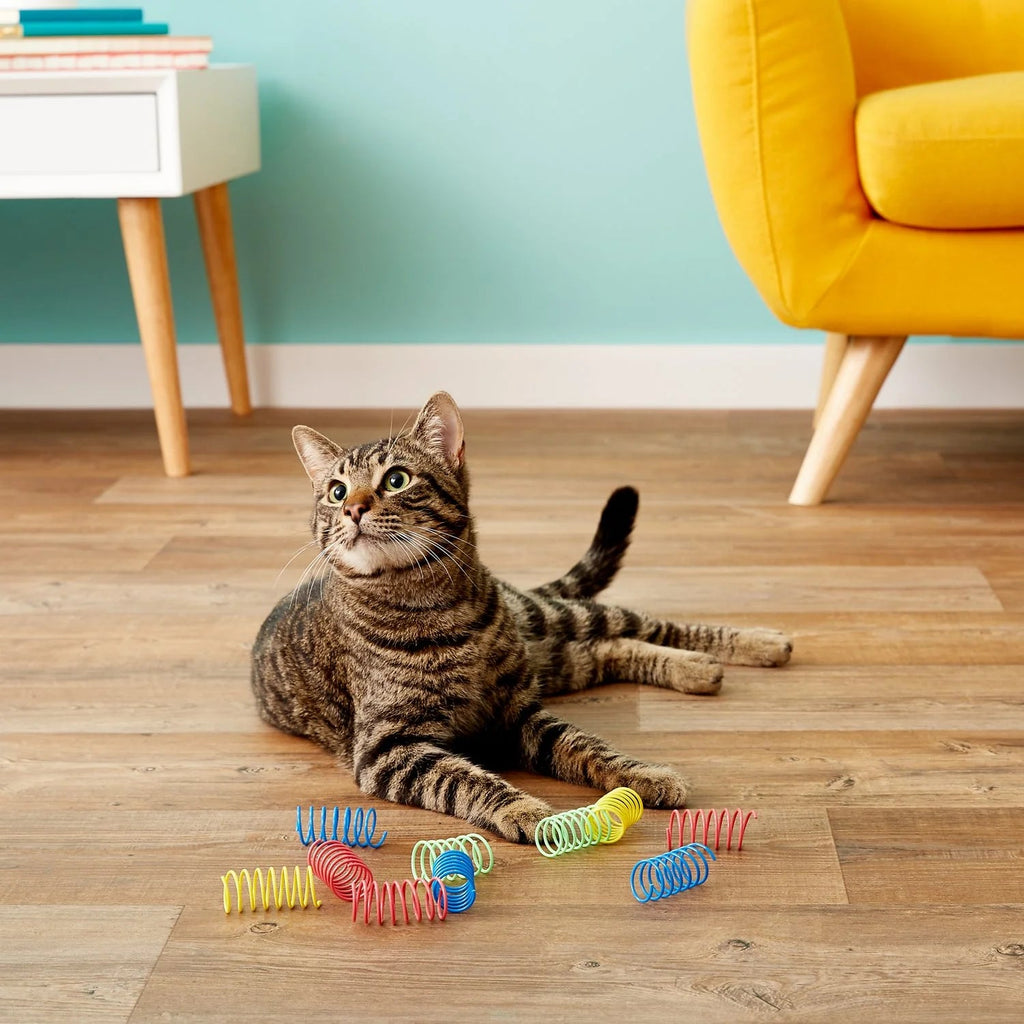 Wide Colorful Springs Cat Toy