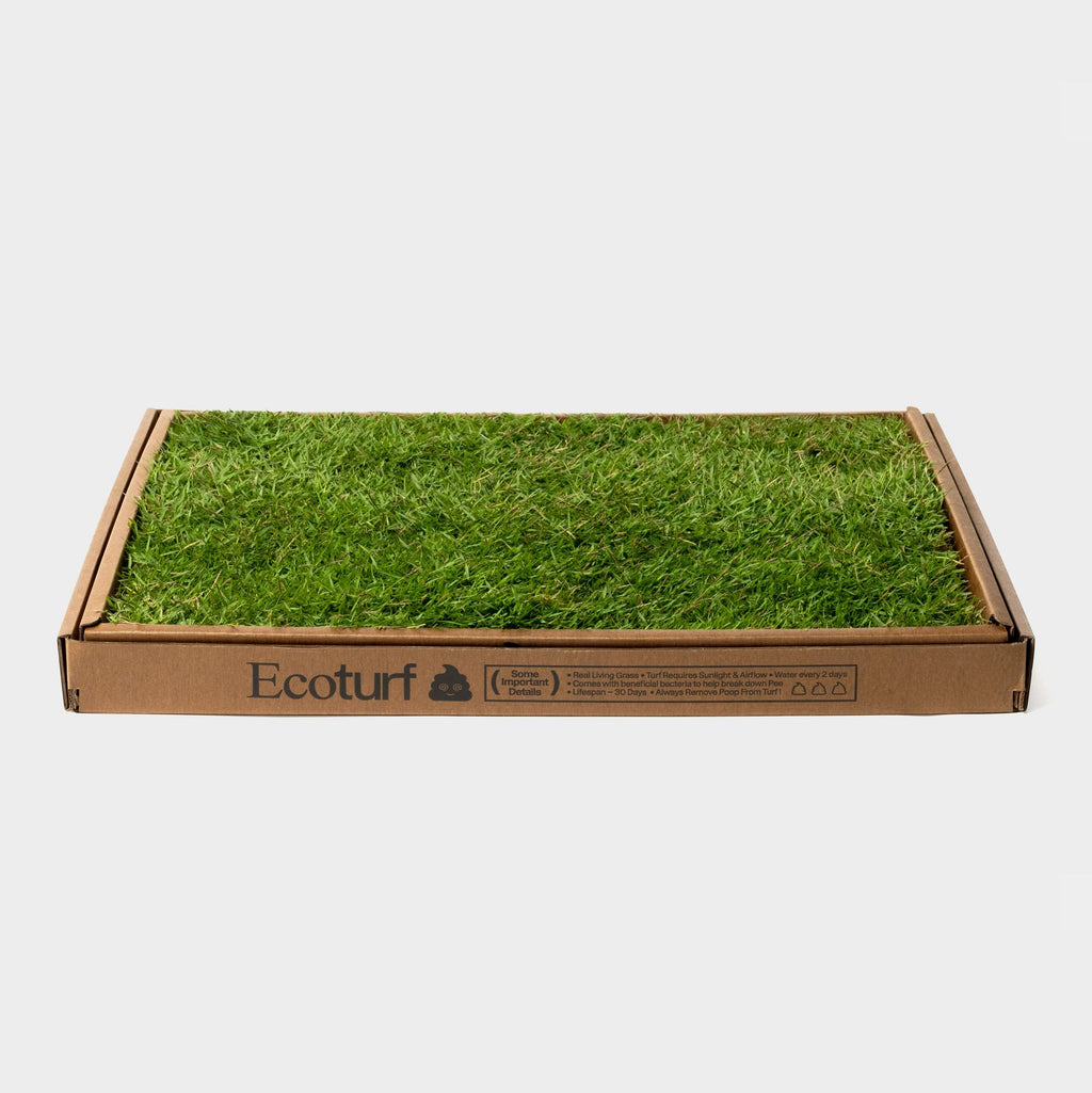 *Eco-turf