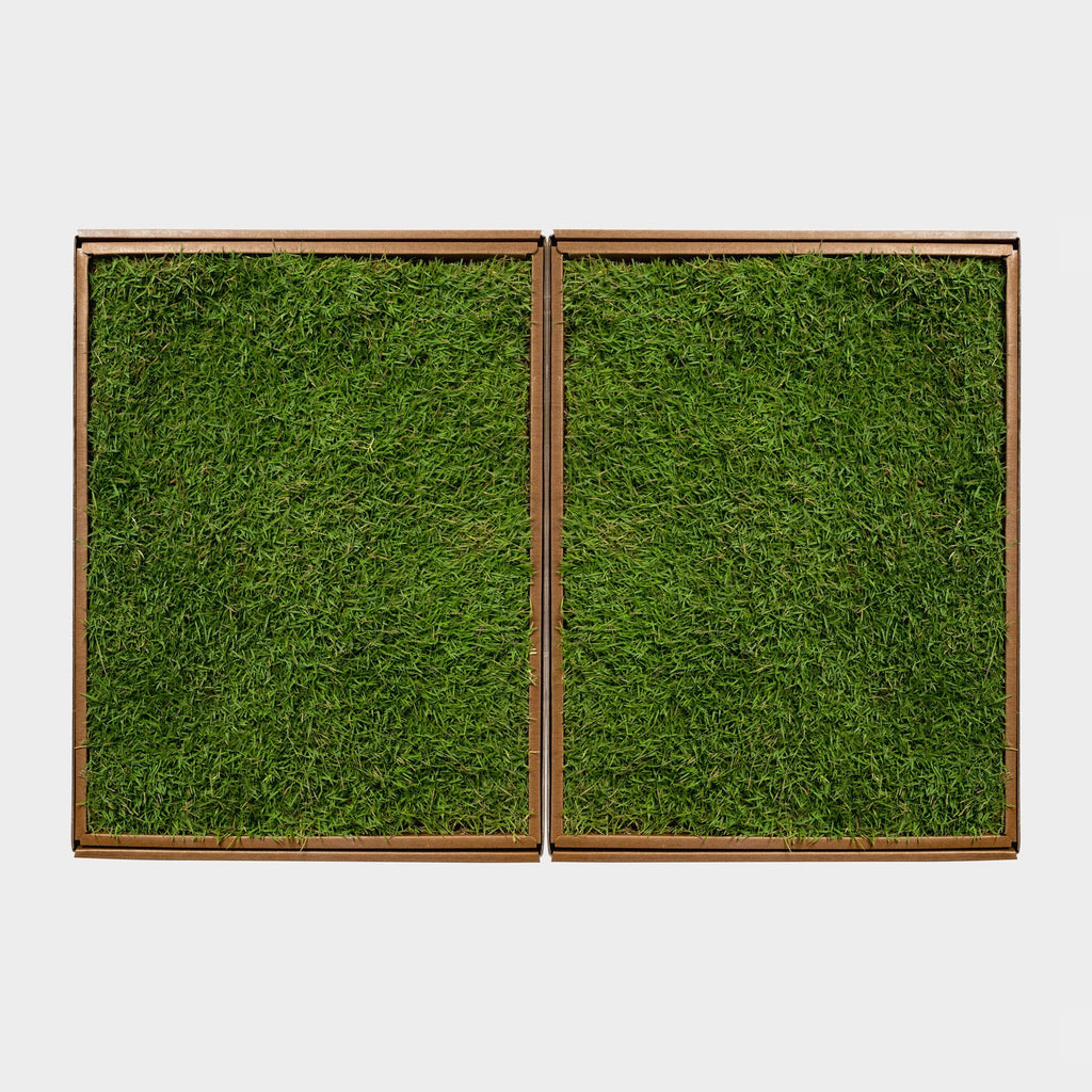 *Eco-turf