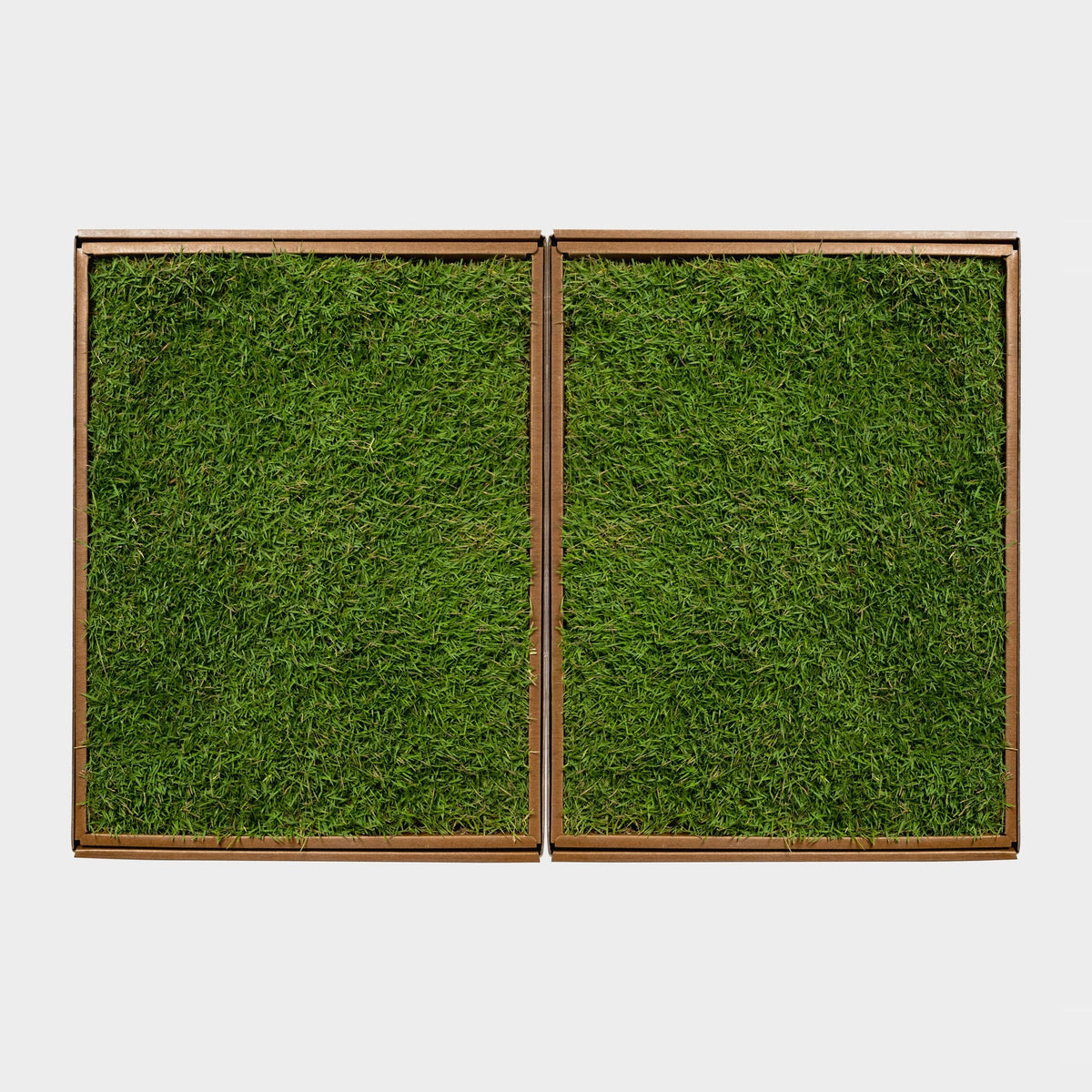 *Eco-turf