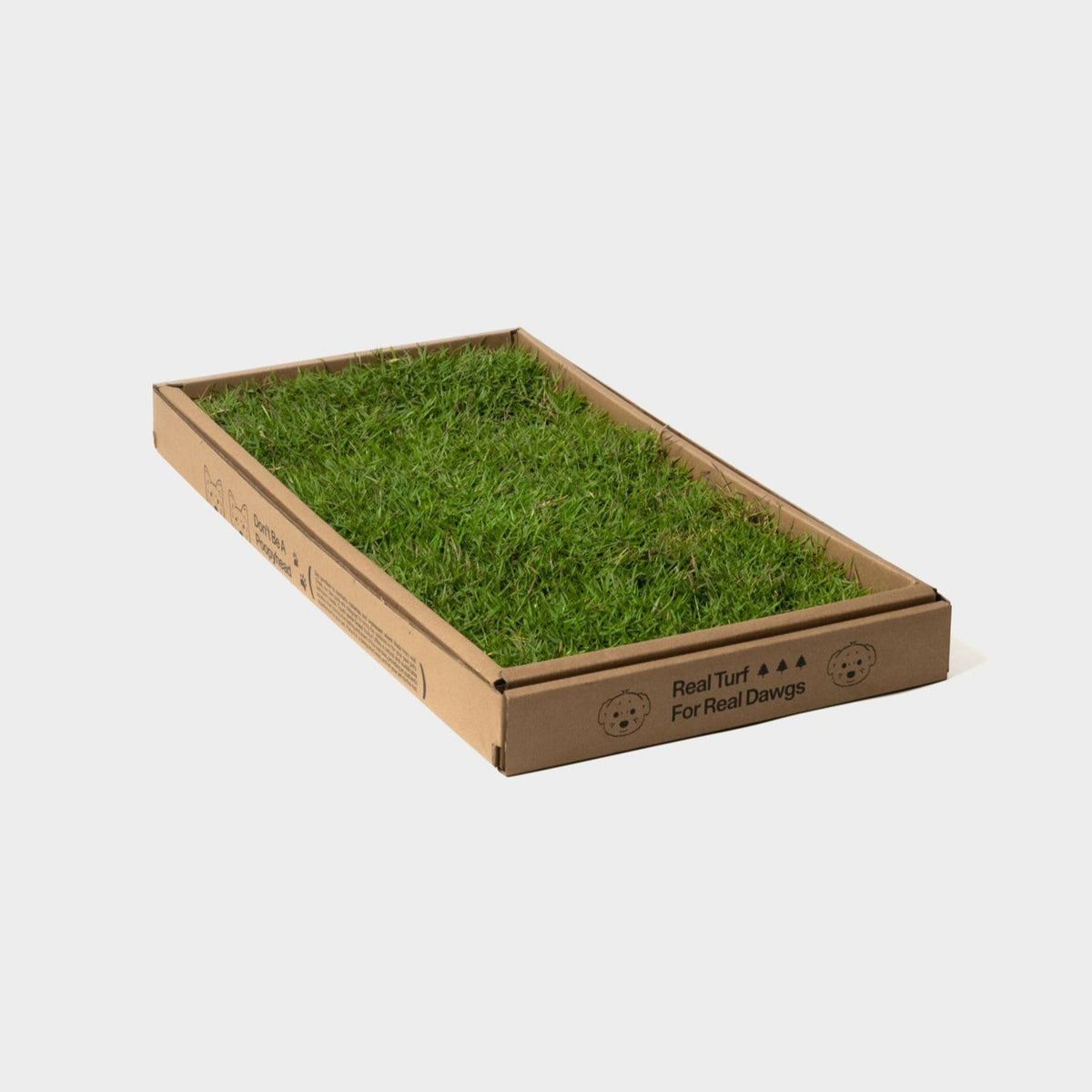 *Eco-turf
