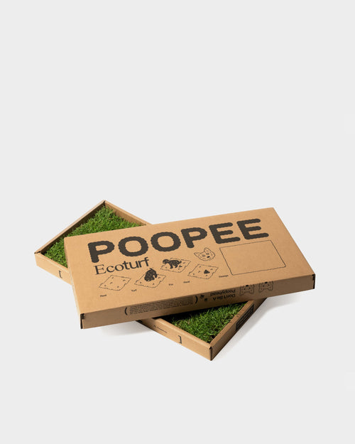 *Eco-turf