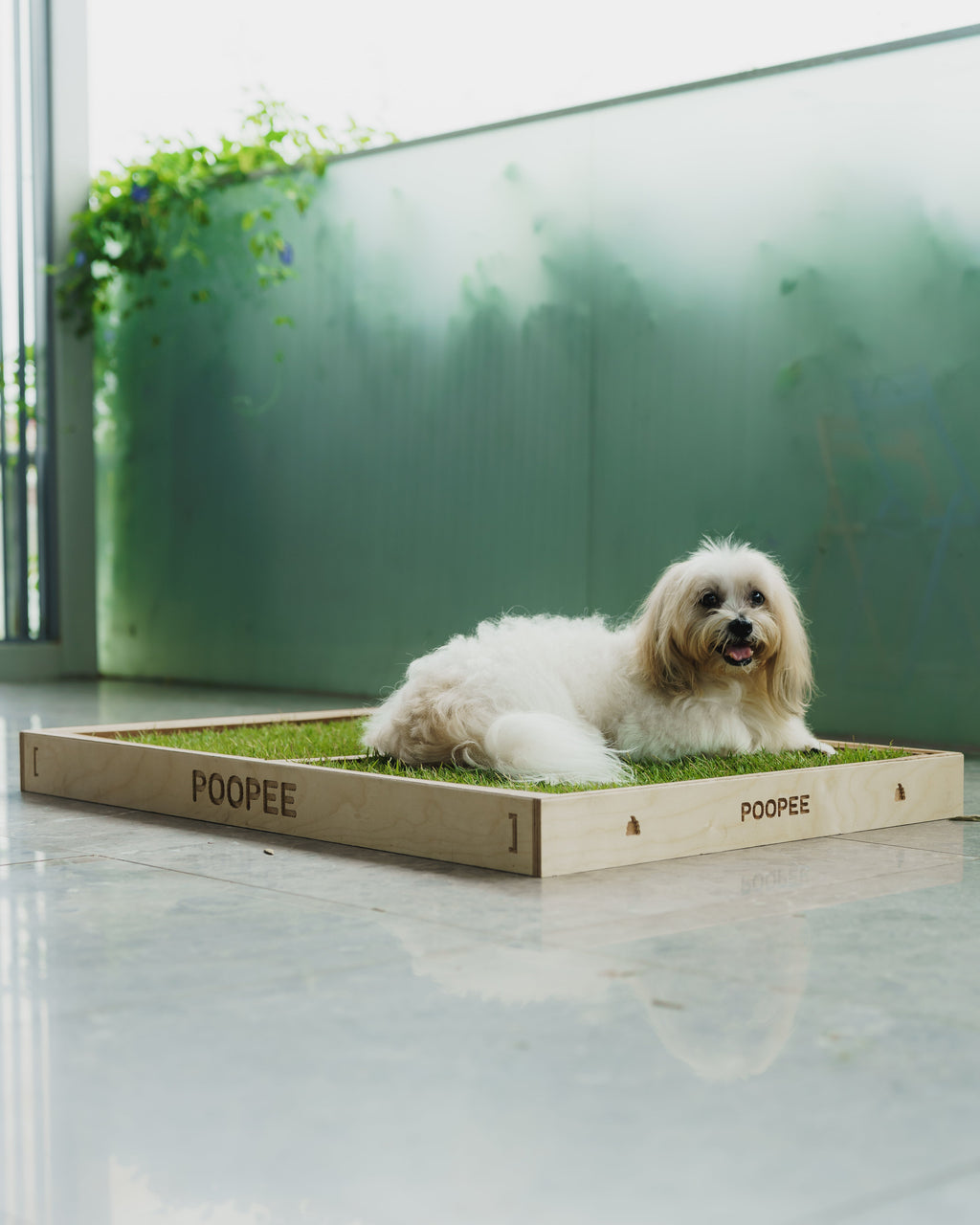 Stay Putt - Handmade Wooden Crate
