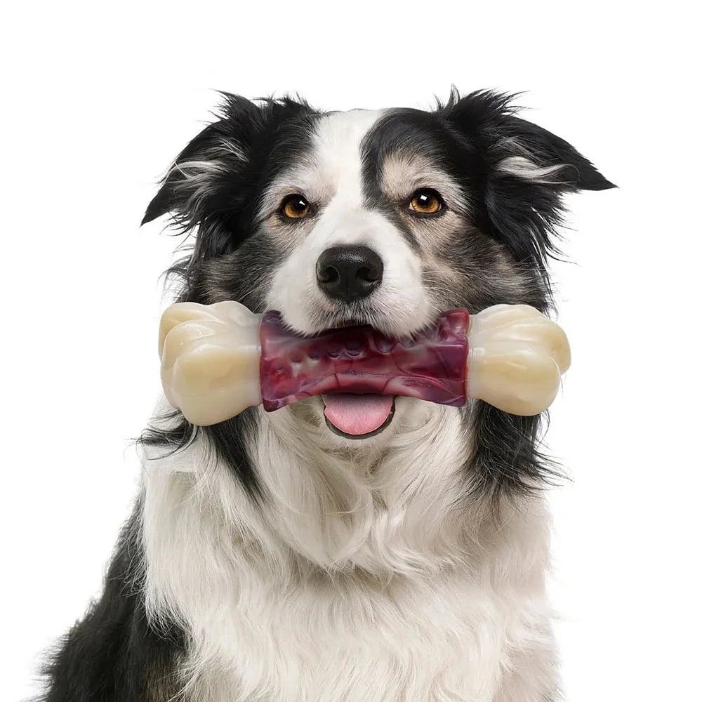 Ultimate Large Dog Chew Toy for Aggressive Chewers - Tough Bone Design for Medium to Large Breeds, Promotes Healthy Teeth and Gums