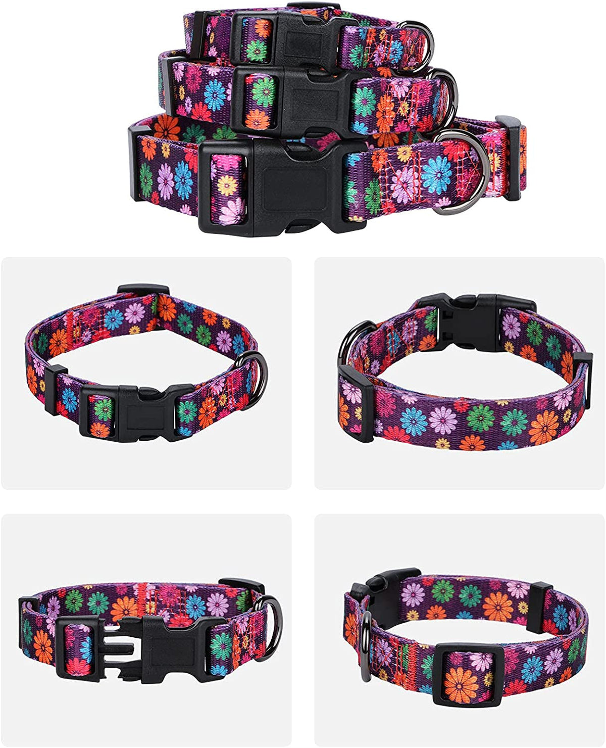 Large Dark Purple Dog Collar for Girls with Fall Daisy Pattern and Colorful Floral Print