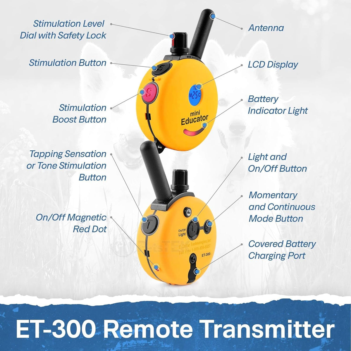 Educator ET-300 Mini E-Collar Dog Training Remote – 1/2 Mile, Waterproof, 100 Levels