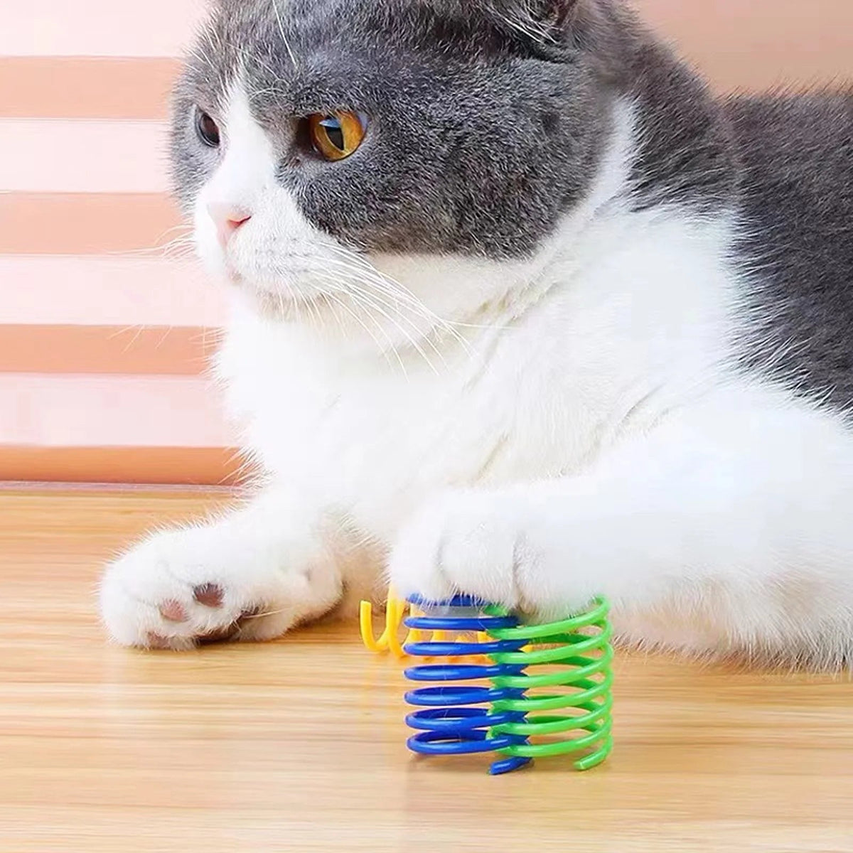 Vibrant 40-Pack Cat Spiral Springs - Durable, Colorful Indoor Toys for Swatting, Biting & Hunting Fun!