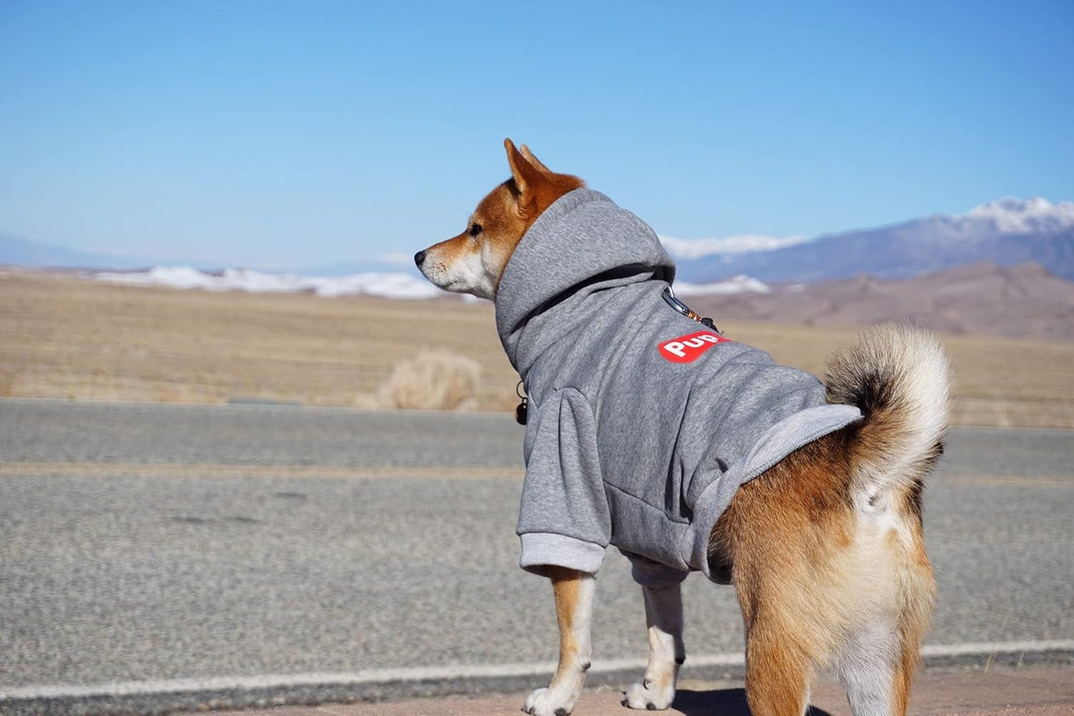 Pup Dog Hoodie, Cat Hoodies - Stylish Streetwear Sweatshirt, Cotton Pet Clothing for Dog Cat Puppy Small Medium Large (5XL) - Gray