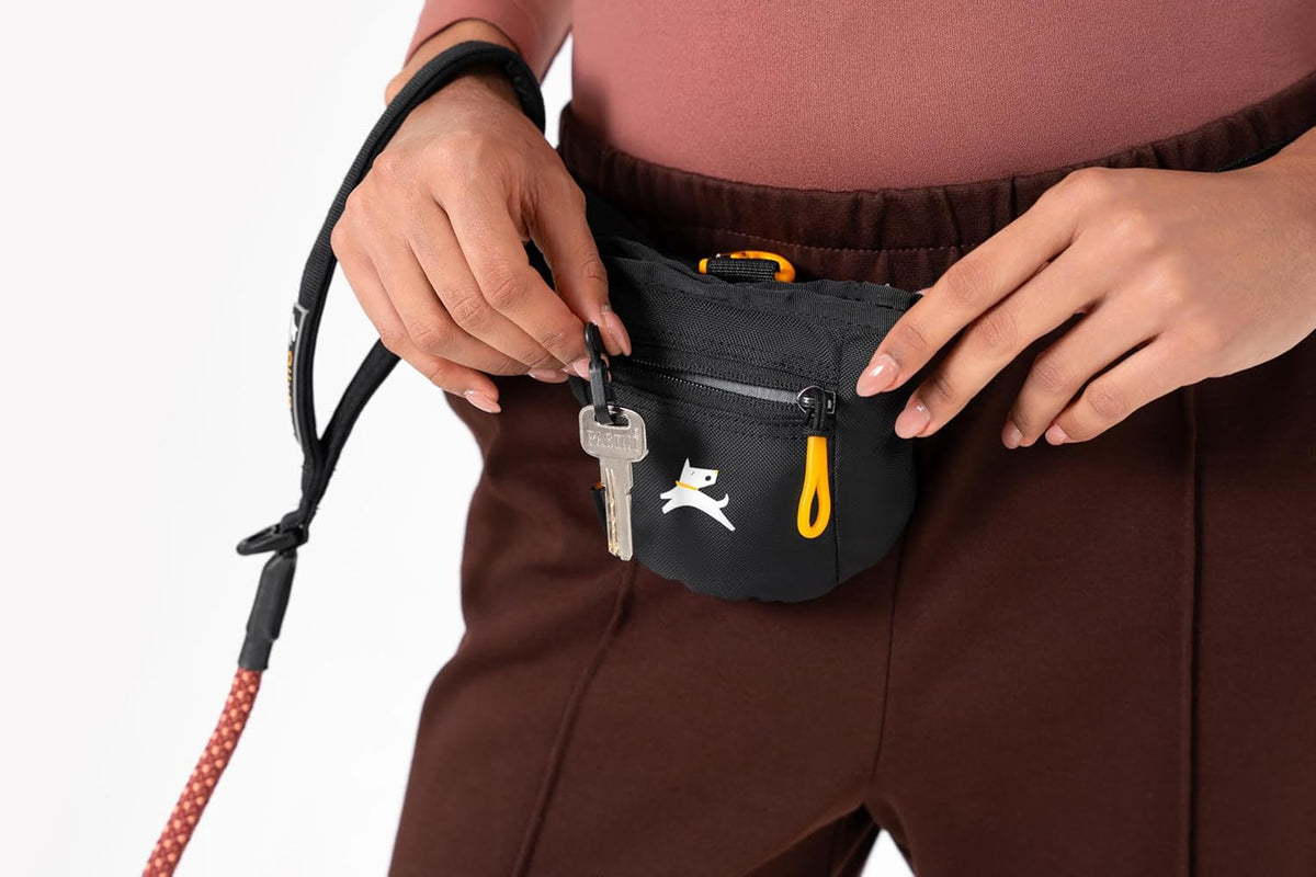 Goodie Treat Bag, Dog Treat Pouch, Waist Belt Clip for Hands-Free Training, Magnetic Closure, Dog Training and Behavior Aids, Three Ways to Wear (Raven S'25)