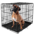 Premium Foldable 48" Dog Wire Crate with Divider & Leak-Proof Tray - Perfect for Training & Travel
