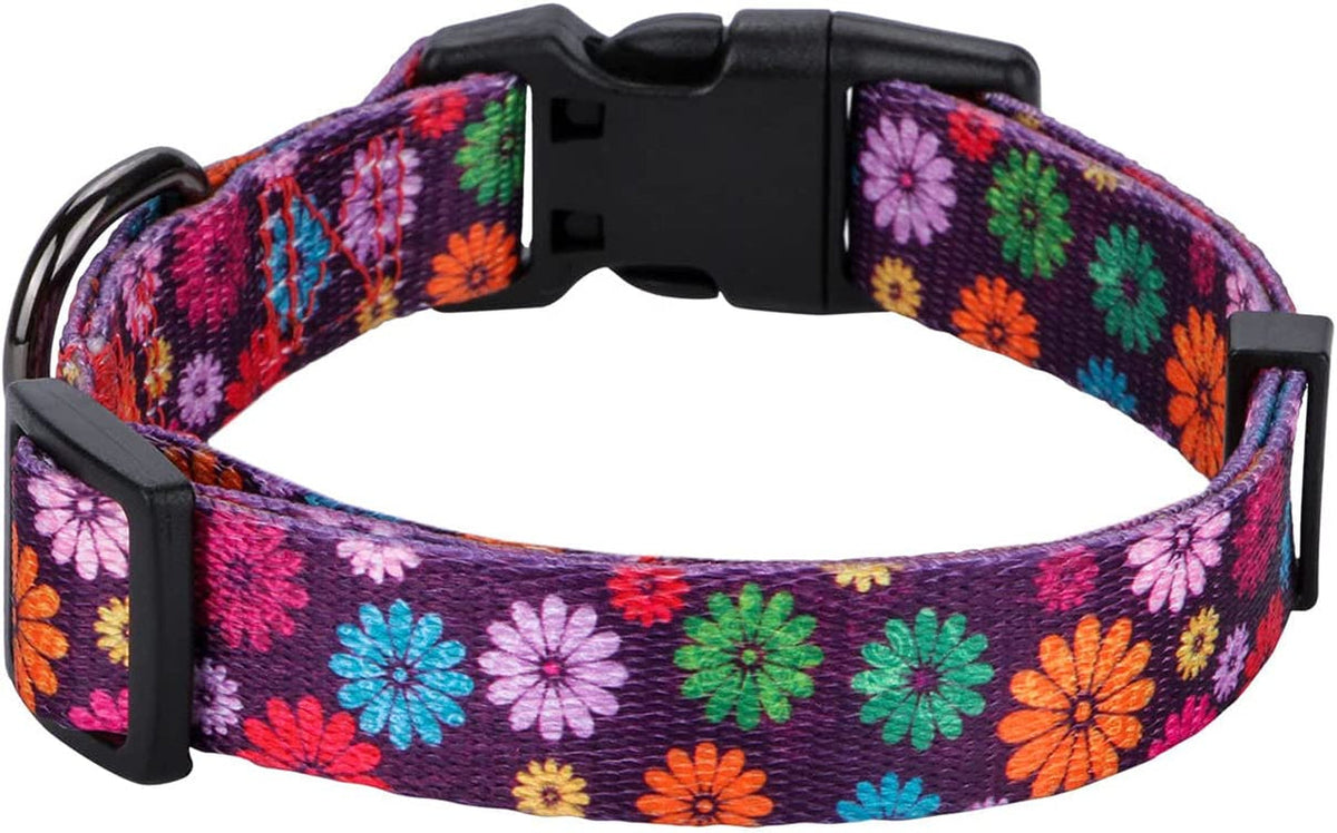 Large Dark Purple Dog Collar for Girls with Fall Daisy Pattern and Colorful Floral Print